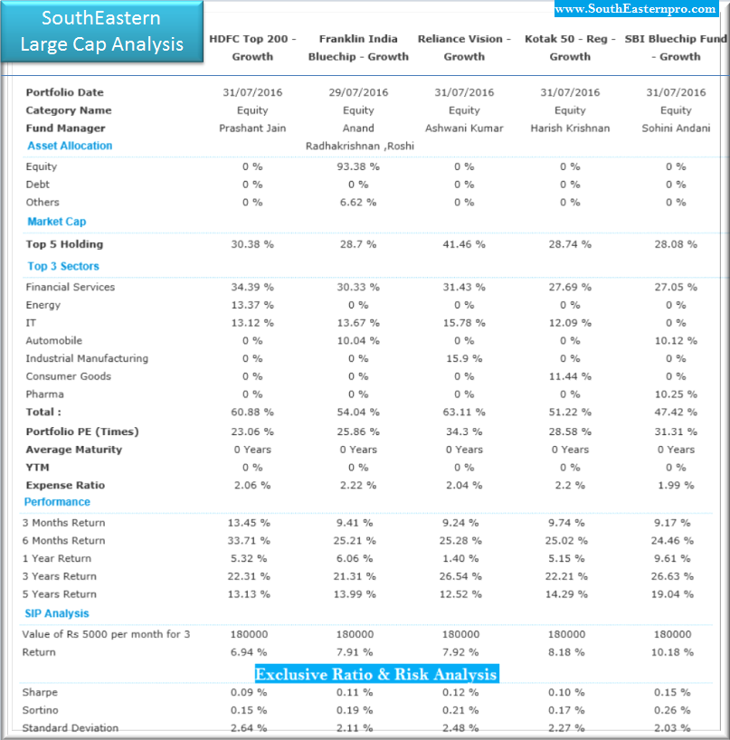 LRGE cAP ANALYSIS